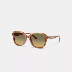 Oval Square Sunglasses