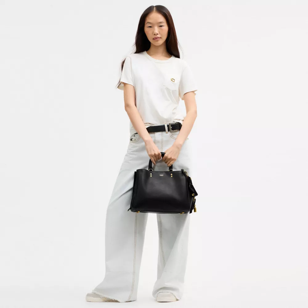 Rogue Bag 31 - Image 10