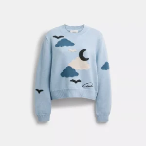 Applique Sweater
